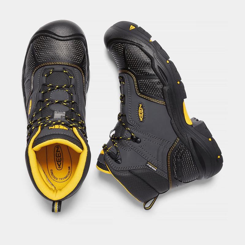 Keen Logandale Waterproof Steel Toe - Erkek Iş Botu - Siyah - Türkiye (742138UFZ)